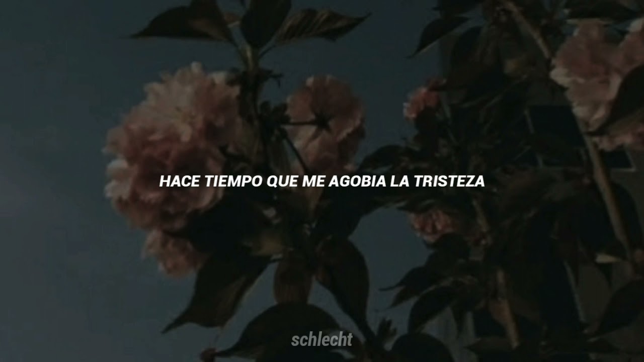 Rigo Tovar - Lamento de amor | sub español (Slowed)