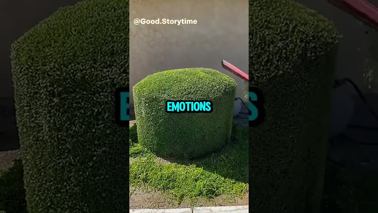 When did you first realize your child was DIFFERENT #redditrelationship #redditstories #reditt