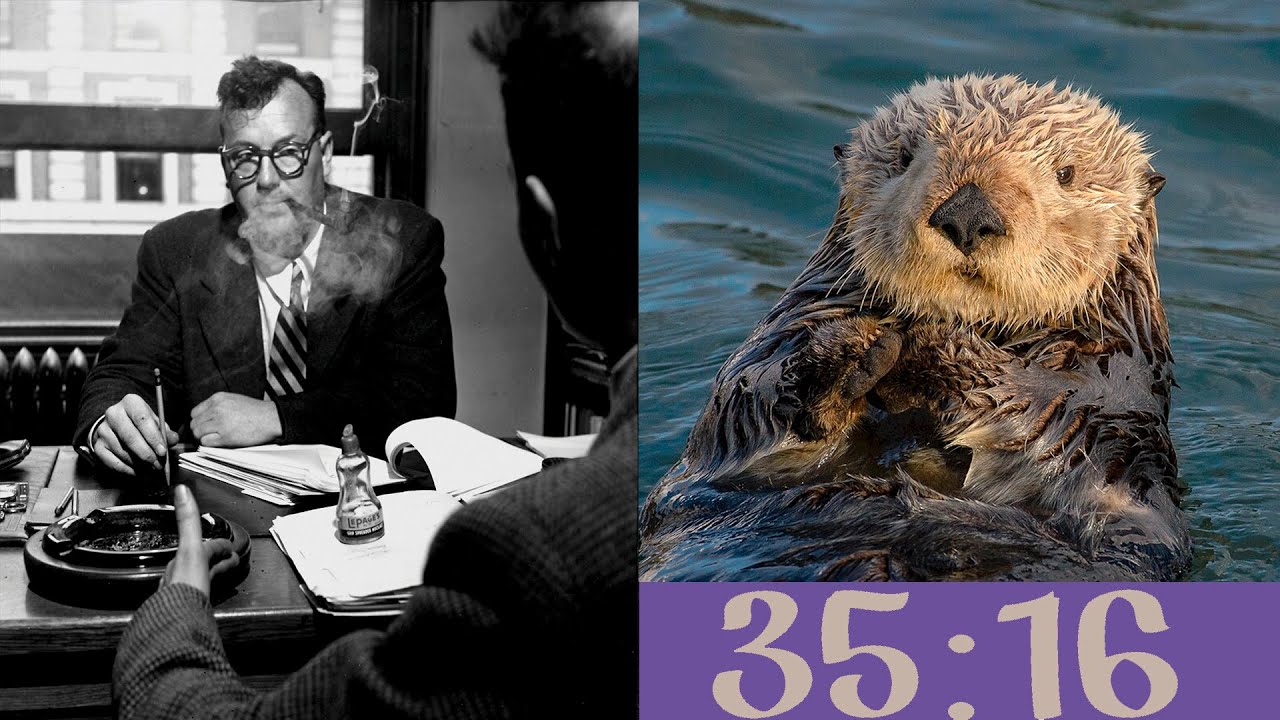 Der Riese 35:16 with Orbic