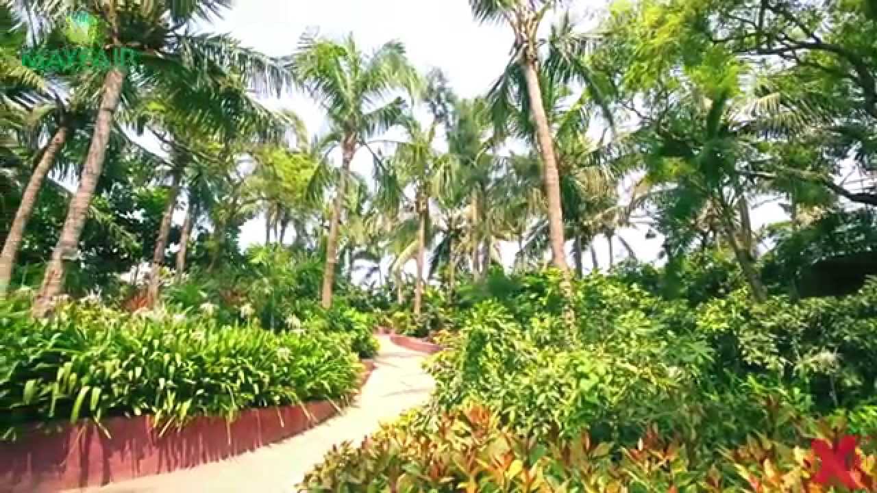 Mayfair Palm Beach Resort, Gopalpur - The life you always wanted....