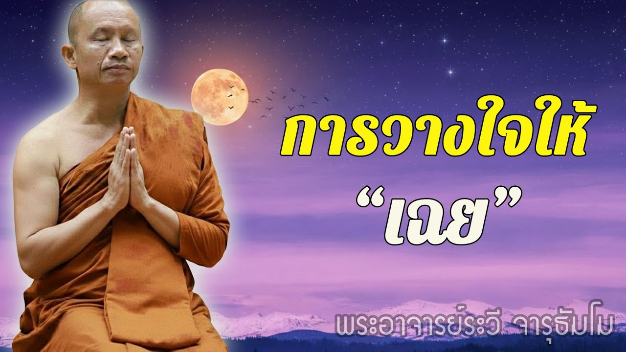 วางใจให้ “เฉย” ชีวิตจะเบากว่าที่คิด #พุทธวจน #ธรรมะคลายทุกข์ พระอาจารย์ระวี จารุธัมโม