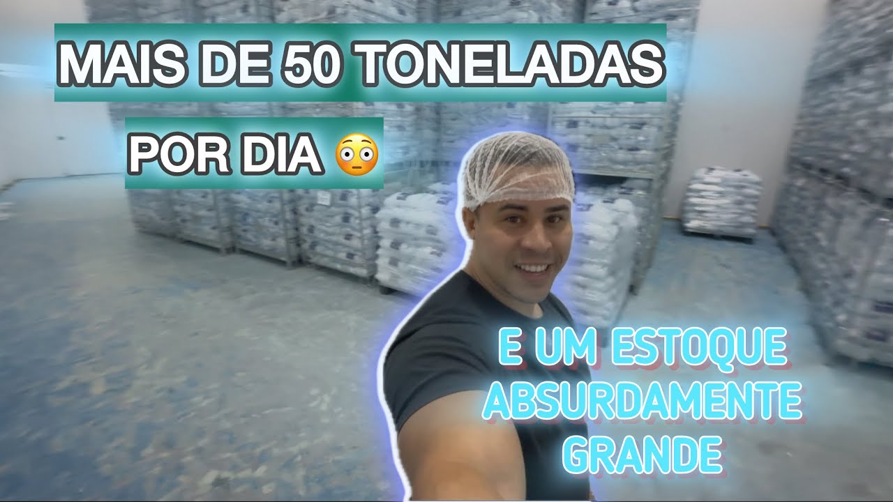 Produção de Gelo: Gigante e Versátil | Willy Marks
