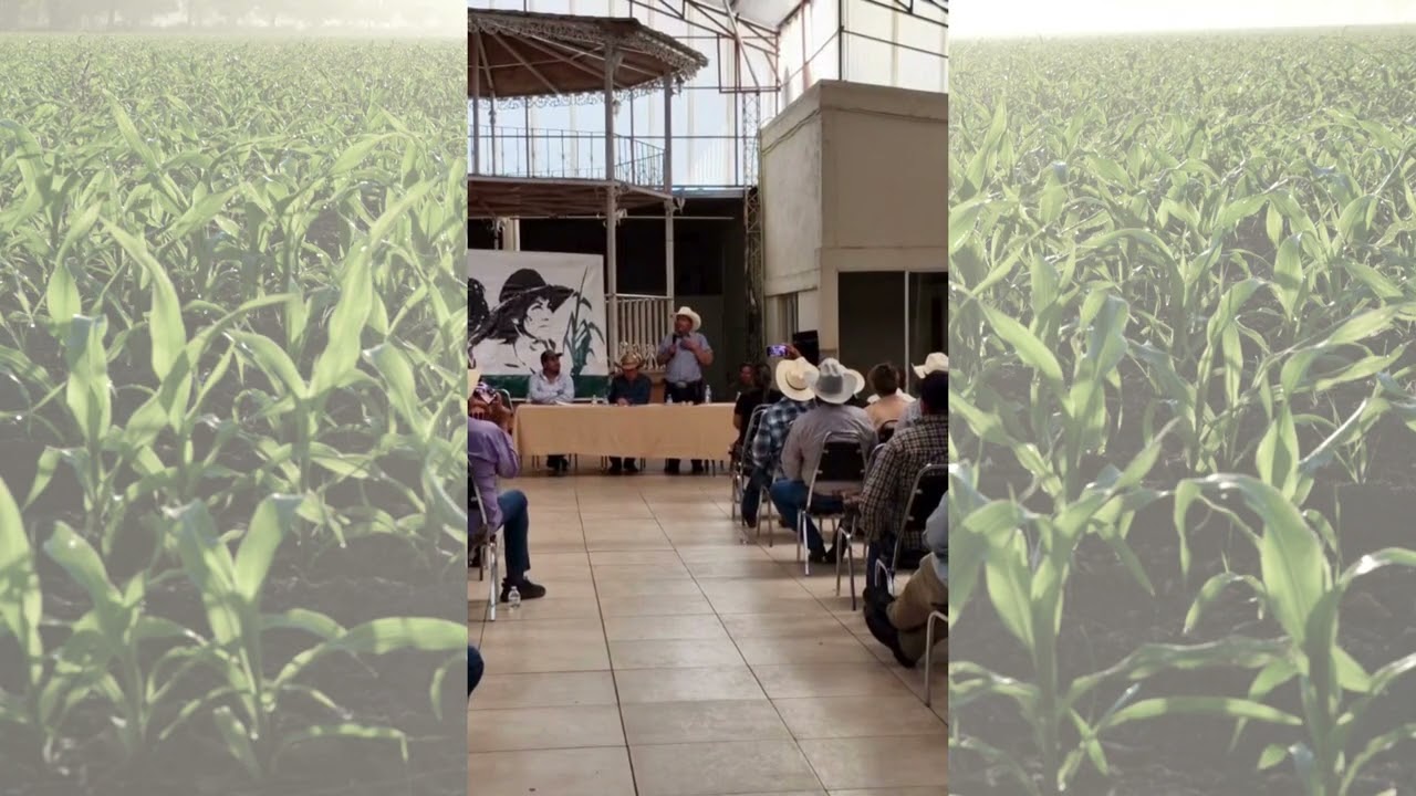 Mesas de Trabajo desde Chihuahua México