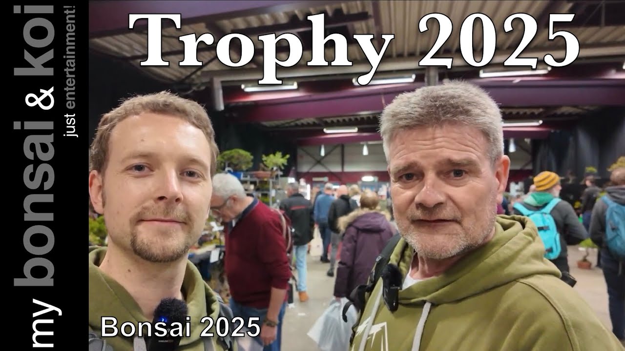 Bonsai 2025-9 - Trophy 2025 - der pure Wahnsinn in Genk