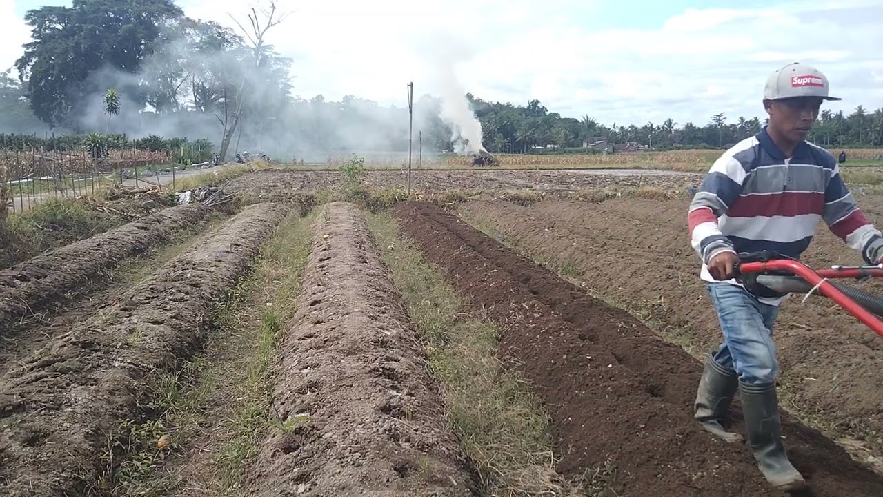 Proses mengemburkan parit yang sudah lama,,,