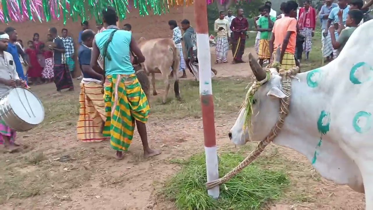 Dagri khuntaw Kanhaidugri A  2025
