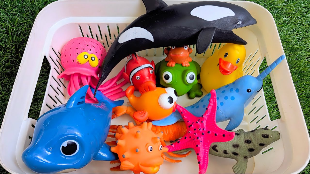 Kids Learn Sea Animals with toys & real ocean animals: Ocean Animals Names & home Learn Preschool