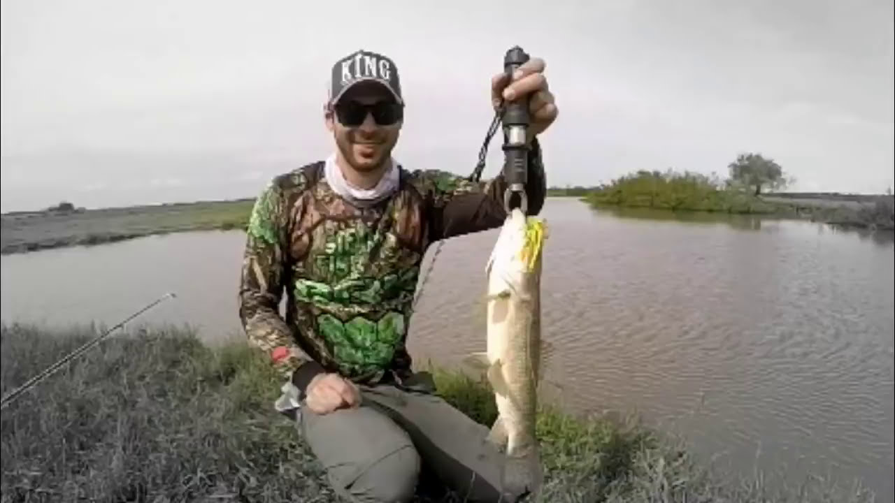 Pesca de traíra com chatterbait Tchau Tchau - Deconto e X frog monster 3x