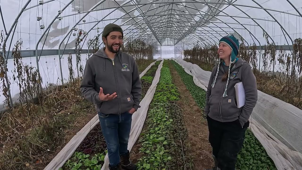 Winter Market Farm Update: We Are Back!