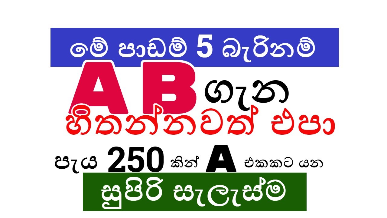 මාස 3නෙ න් BS වලට A එකක් සුපිරි සැලැස්ම | A/L BUSINESS STUDIES | BUSINESS STUDIES IN SINHALA