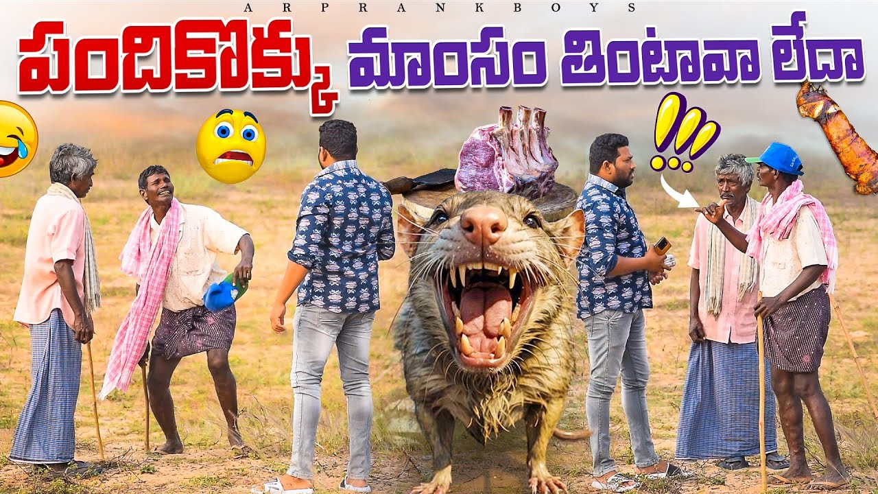 పందికొక్కు మాంసం తింటావా లేదా 😂ఫన్నీ ప్రాంక్ 🙏AR PRANK BOYS👌