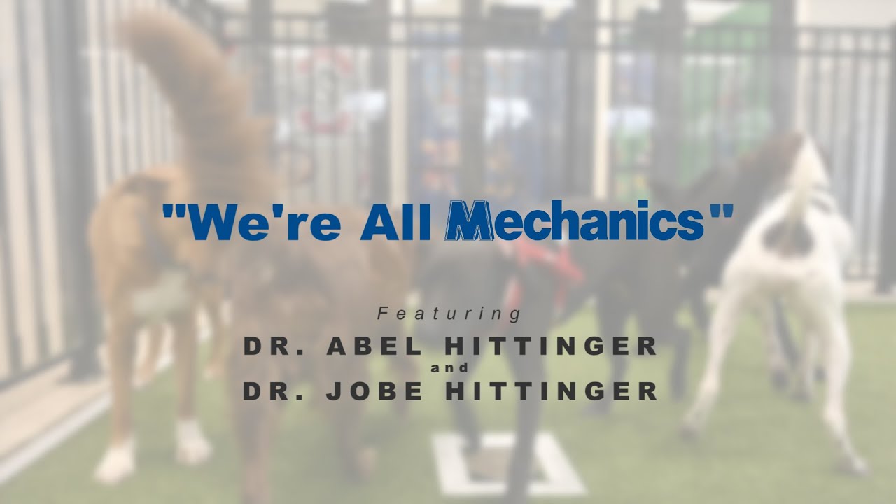 We're All Mechanics: Appleseed Valley/Clearfork Veterinary Hospitals