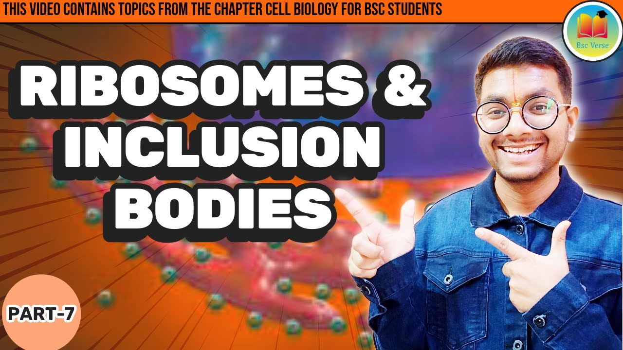 CELL BIOLOGY  - ribosomes and inclusion body @BscVerse