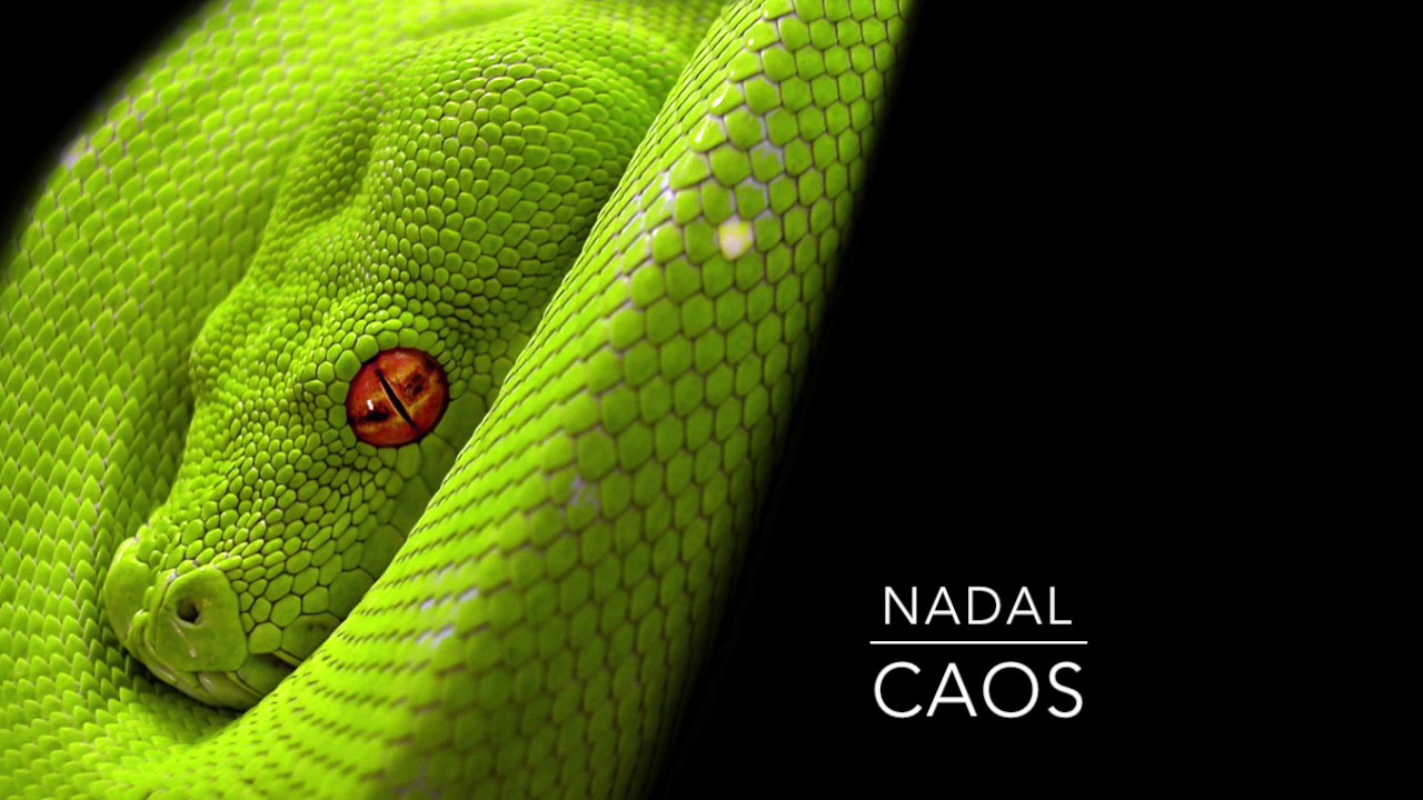 NADAL - CAOS