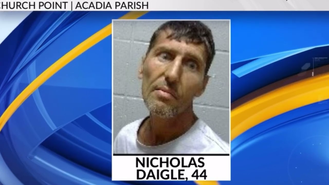 Man arrested for Dog fighting & Cock fighting #news