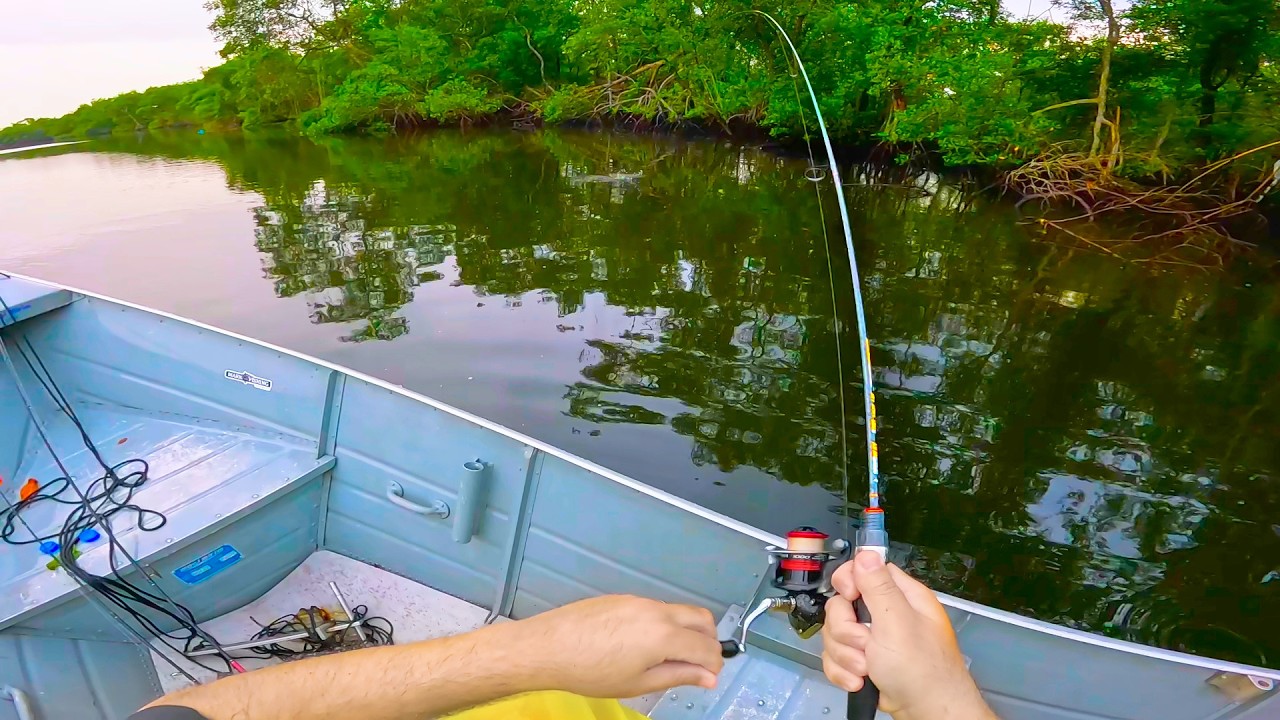 PESCARIA de ROBALO com ISCA ARTIFICIAL de SUPERFÍCIE no MANGUE!