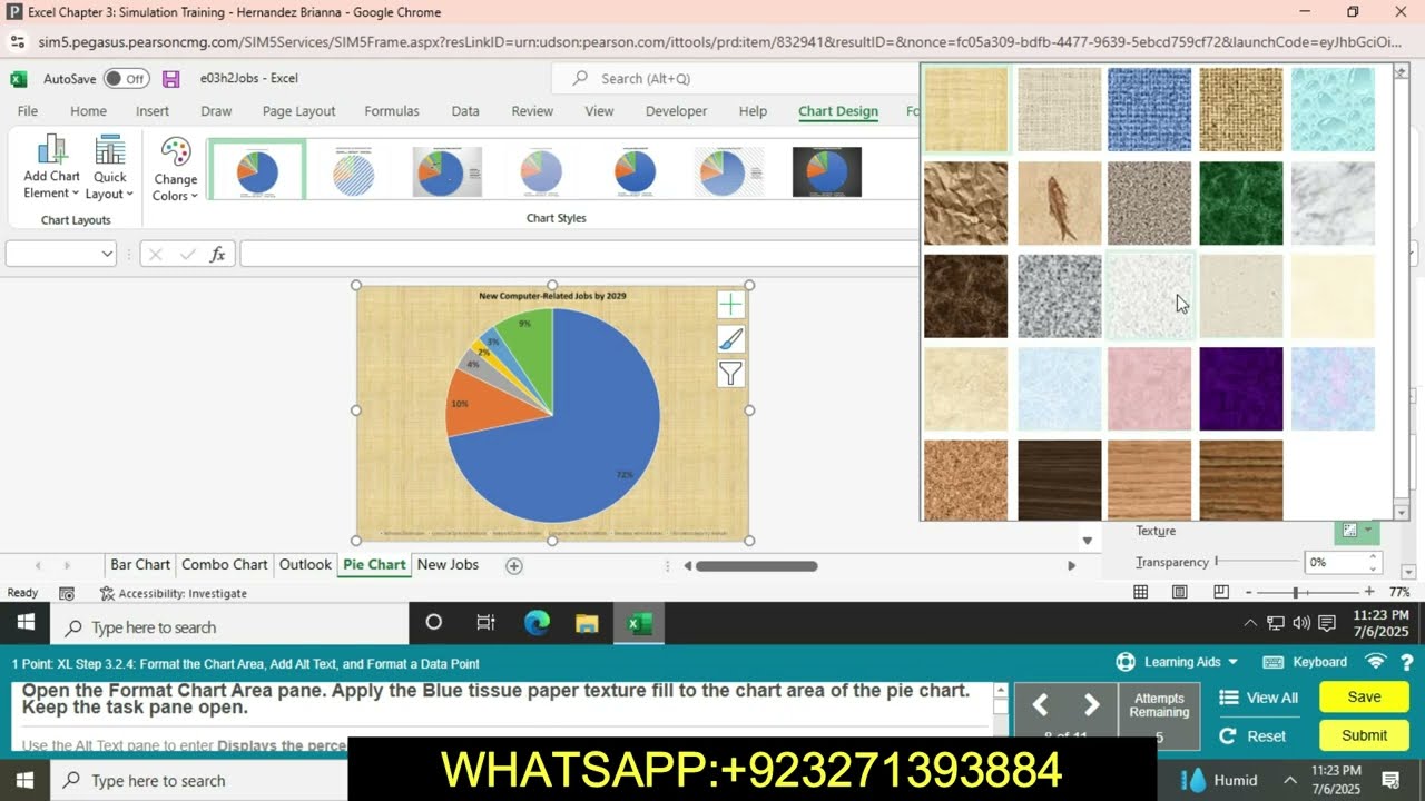 Excel Chapter 3 Simulation Training || Excel Chapter 3 Simulation Training