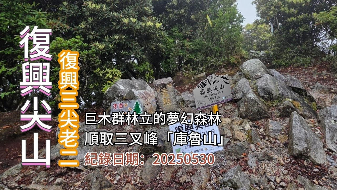 「復興尖山」,有著巨木群林立的夢幻森林,還有一座「庫魯山」,復興3尖老二,恬雅悠靜的深山林內,北橫名山-FP264