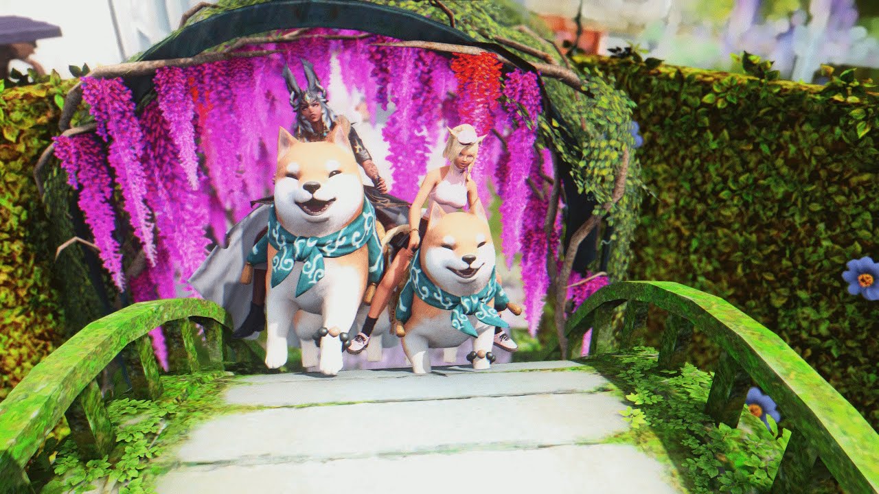 Shiba Drift
