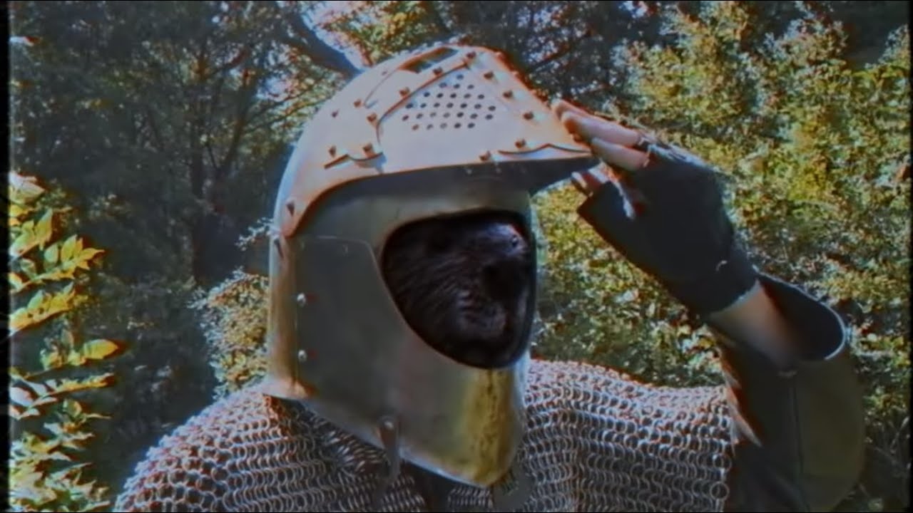 Братство Бобра - Король Бобров (Official video)