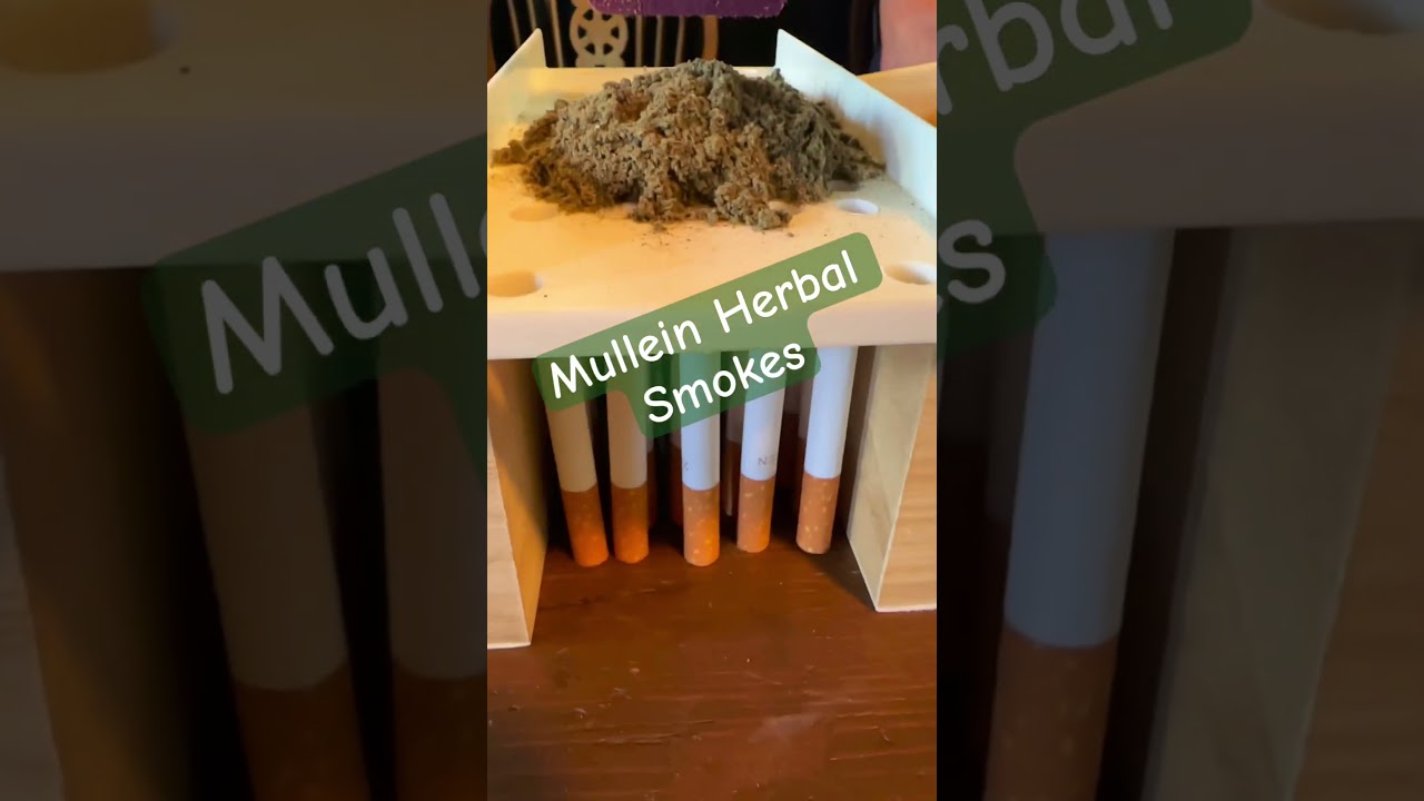 Mullein Herbal Smoke Blends! The Respiratory Herb🌿 #mullein #herbal #homemade #smokes #asthma #fyp