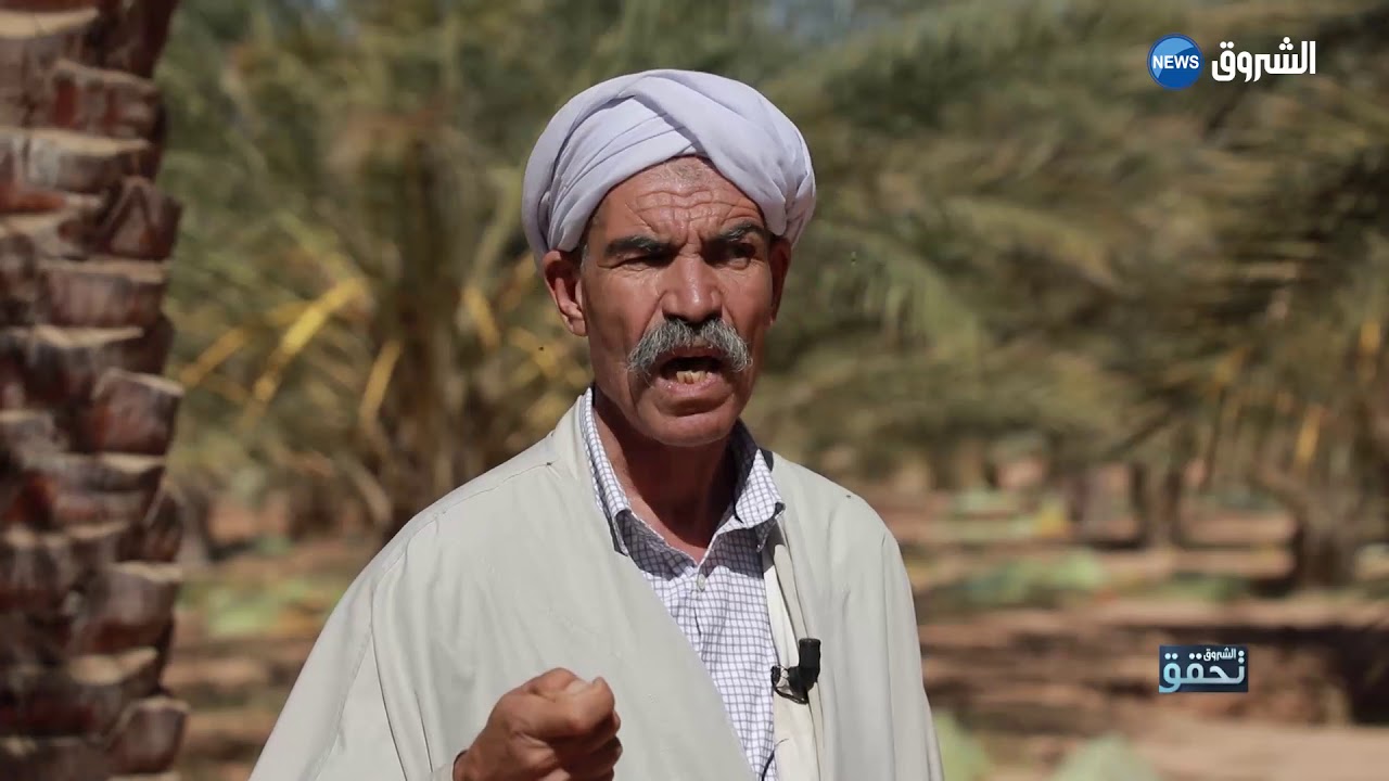 فلاح من ولايه بسكرة يطالب السلطات بمحاربة البزنسة في اسعار التمور