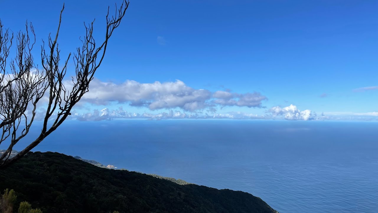 Madeira island. February 2023
