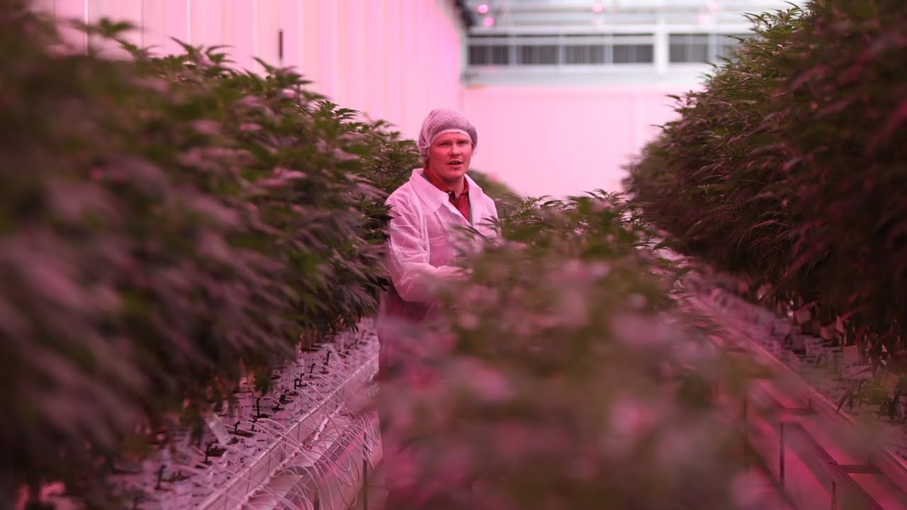 Learn about the size and capability of our Mildura facility