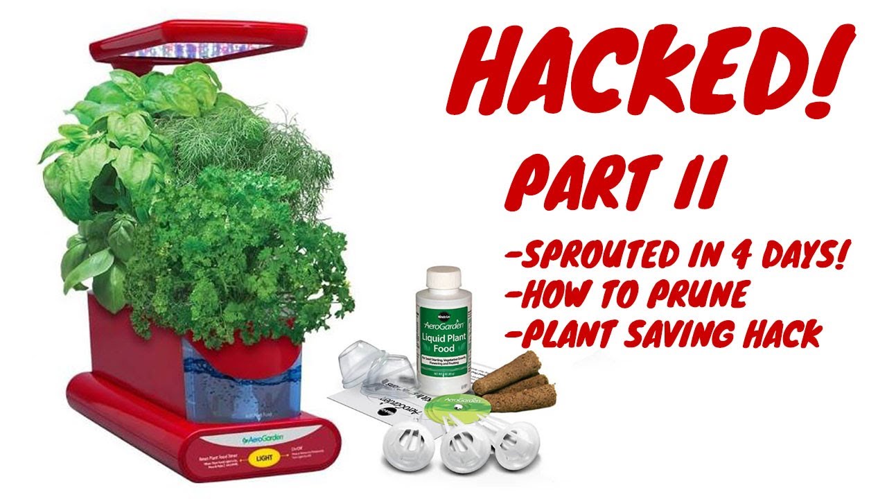 PART II The Amazing Results!!! 🌱HACKED AeroGarden Hydroponic System