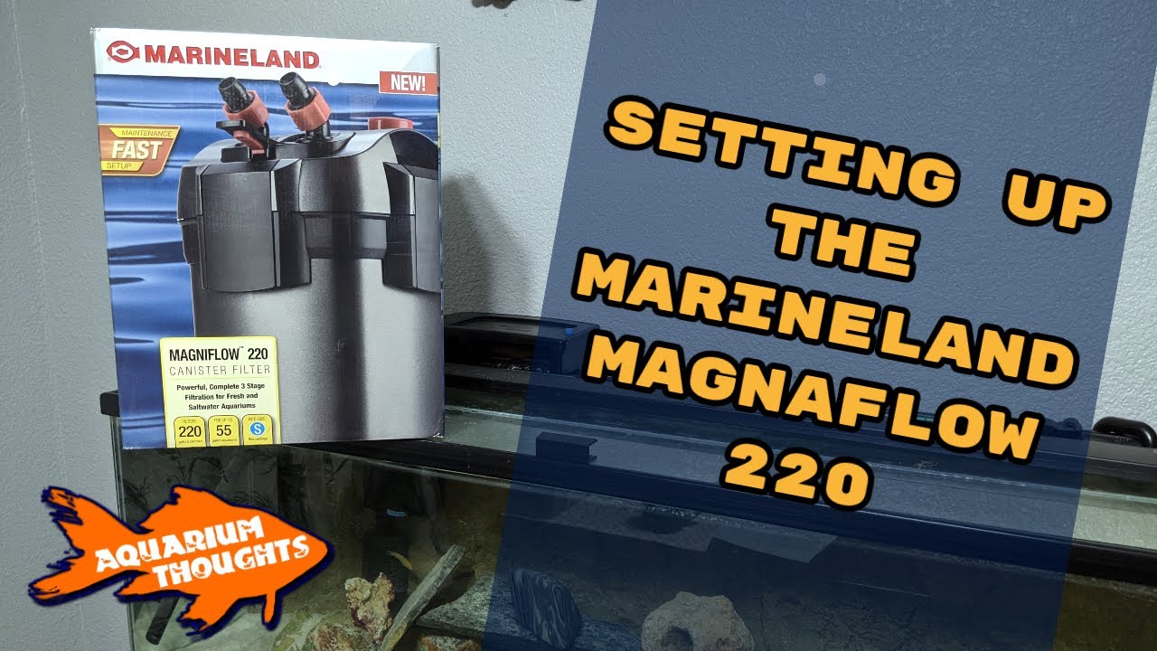 Unboxing | Setting up #MyAquariumBox Prize... the Marineland Magnaflow 220