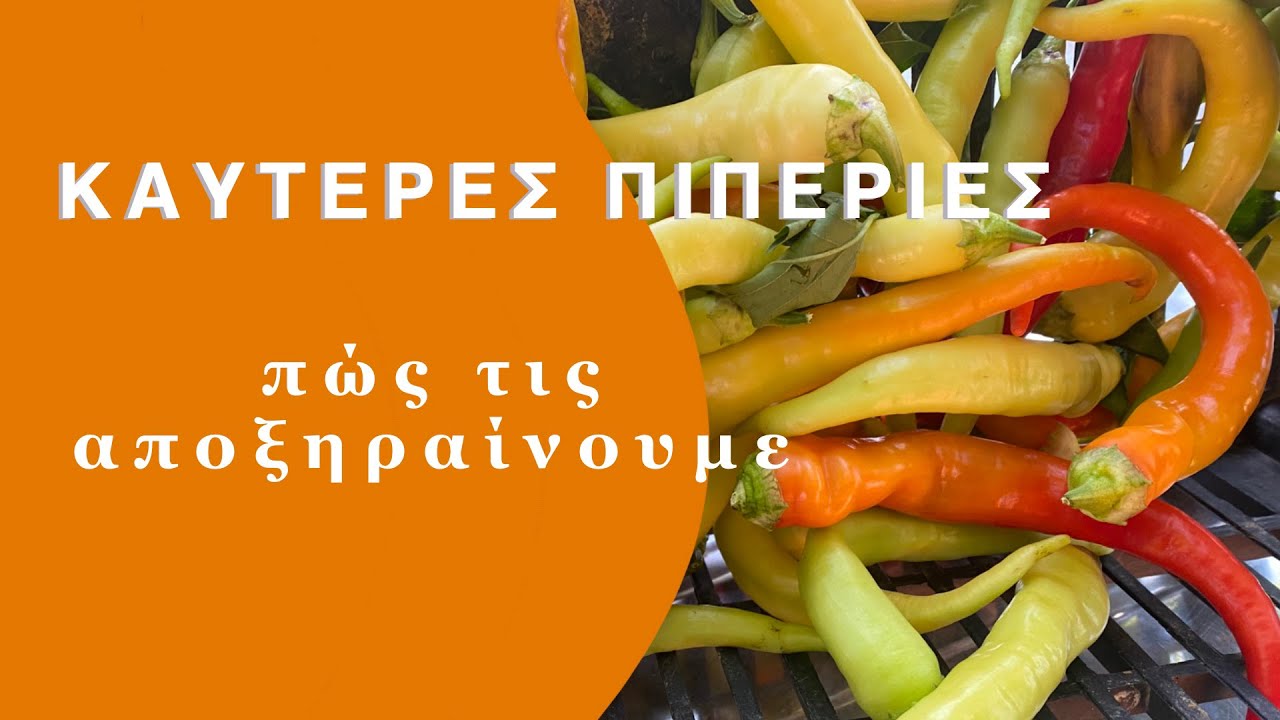 ΚΑΥΤΕΡΕΣ ΠΙΠΕΡΙΕΣ - πώς θα τις αποξηράνετε εύκολα