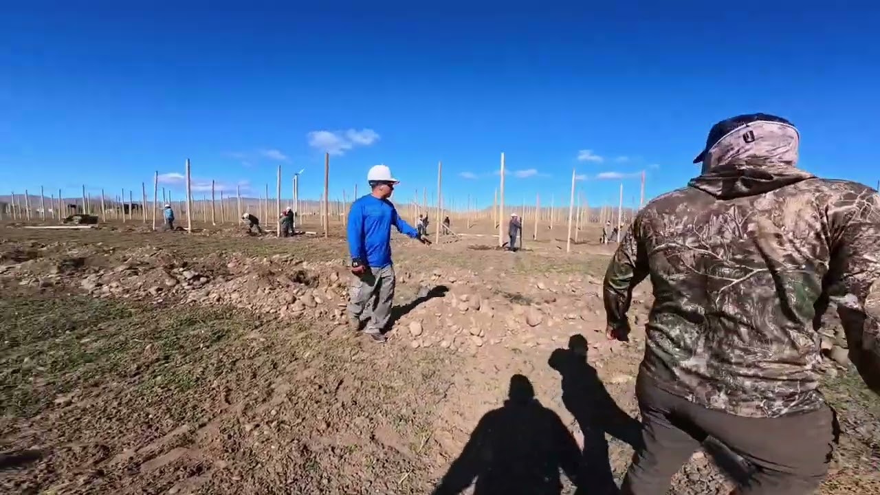 Un dia de trabajo en el campo 