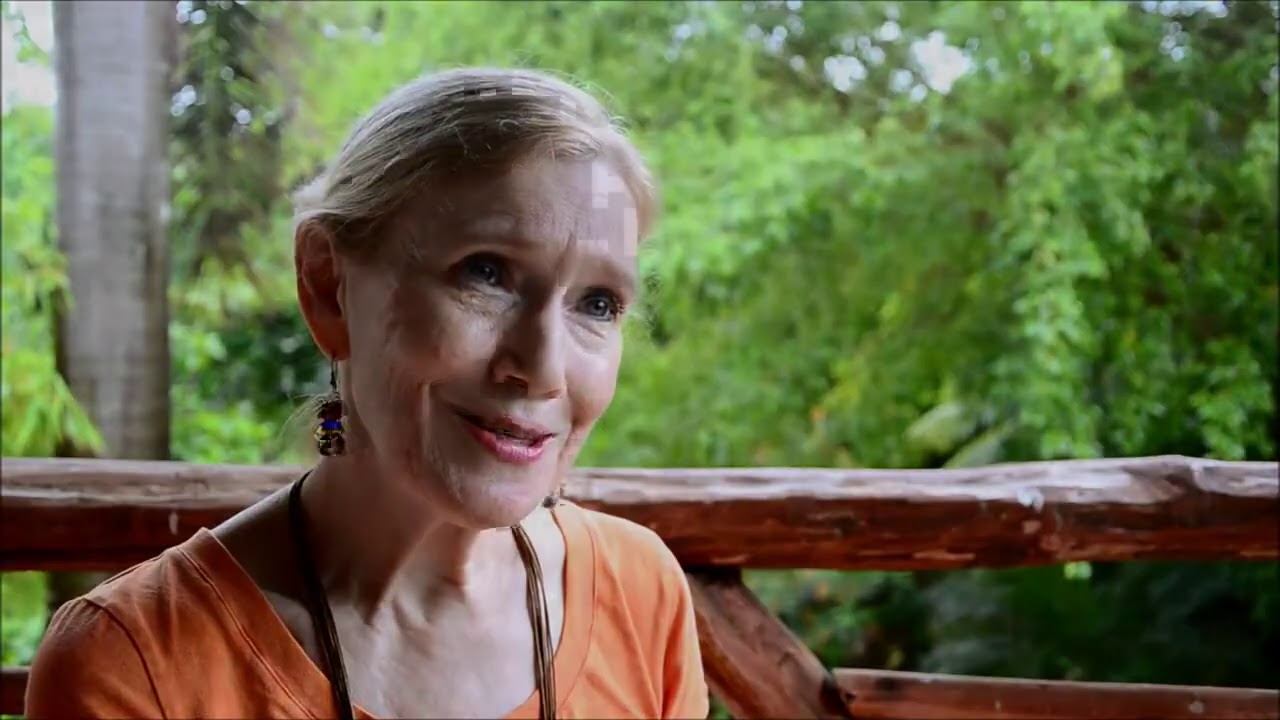 Harlene Anderson - Não saber (legendado em Português)