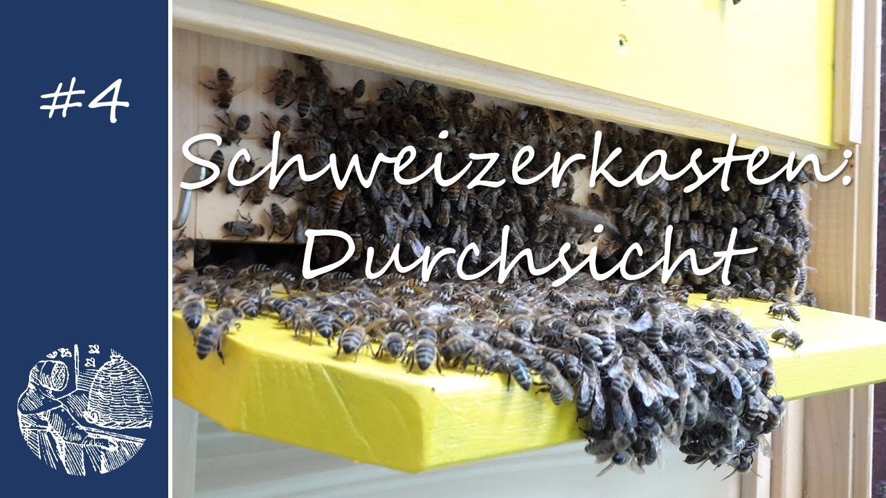 Schweizerkasten: Durchsicht
