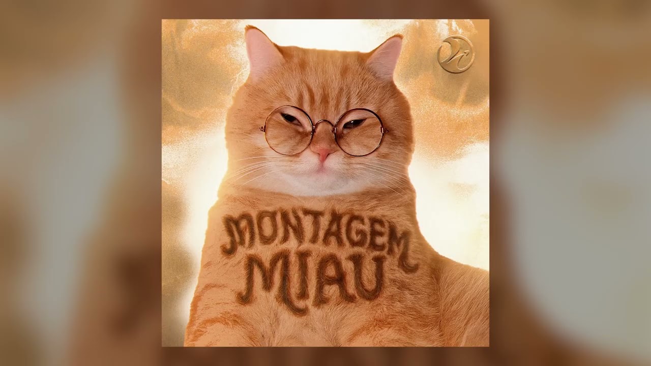 Montagem Miau