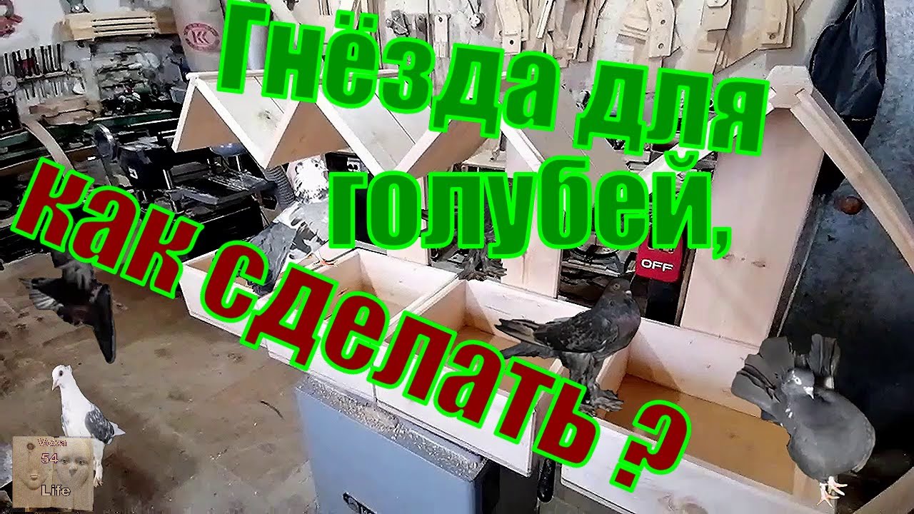 Как сделать гнёзда для ГОЛУБЕЙ