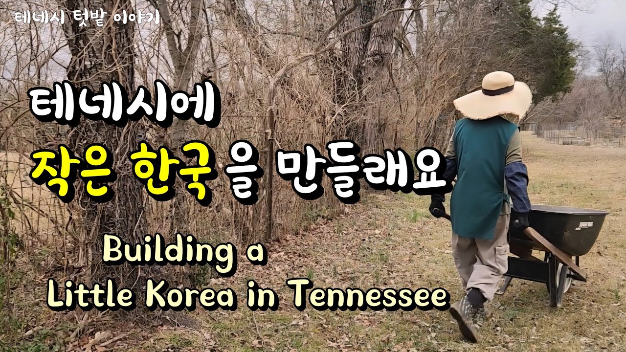  🇺🇸🇰🇷 미국 시골에서 나답게 살아요 (Living as Me in Rural America) ​#한국인 #시골풍경 #Tennessee
