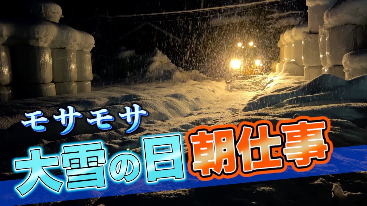 雪国YouTuber。大雪の朝仕事。