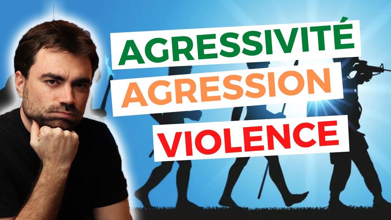 Pourquoi est-ce si important de faire la DIFF&Eacute;RENCE entre Agressivit&eacute;/Agression/Violence