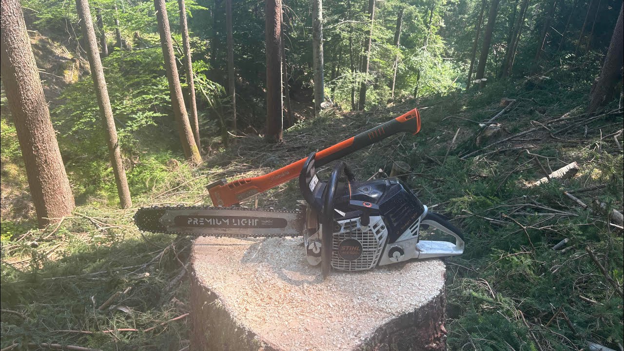 Holzernte im Drautal nach den Motto 