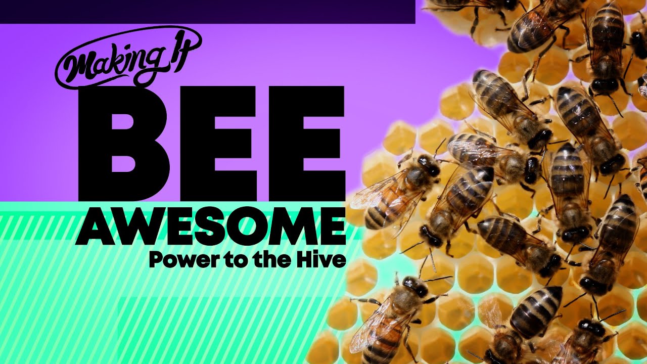 Making It: Celebrating Jewish community with honey from Bee Awesome