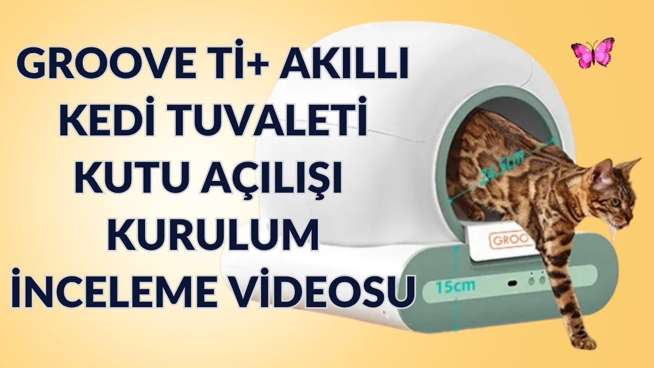 Groove Ti+ Akıllı Kedi Tuvaleti Kutu Açılışı | Kurulum | İnceleme