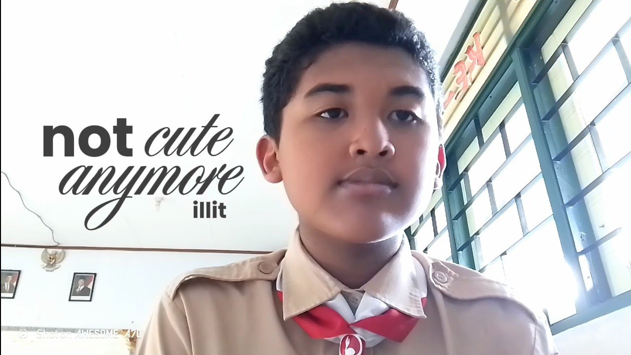 not cute anymore (cover) – illit. 