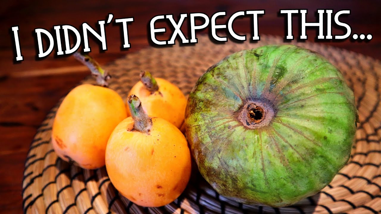 Интересные фрукты на продажу в Португалии (черимойя и мушмула) &mdash; Weird Fruit Explorer