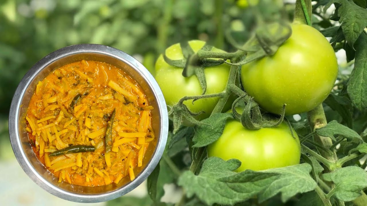 বাগানের কাঁচা টমেটো আর নতুন আলু এনে পোস্তবাটা দিয়ে দুর্দান্ত স্বাদের কাঁচা টমেটোর কড়াই ভাপা...