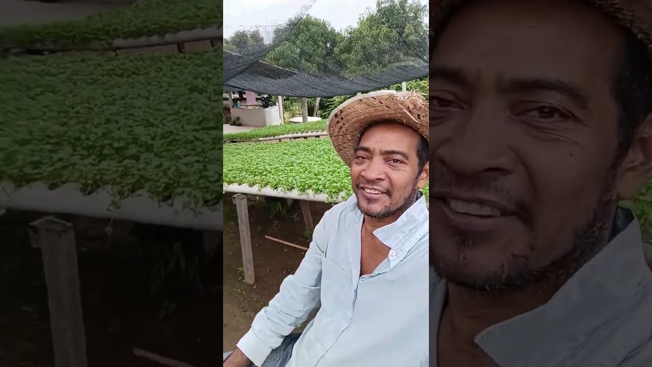 desafio de um cadeirante minha horta hidrop&ocirc;nica #desafio #ro&ccedil;a