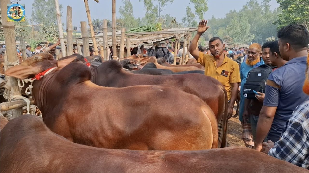 @ শুক্রবার ২৭ ফেব্রু