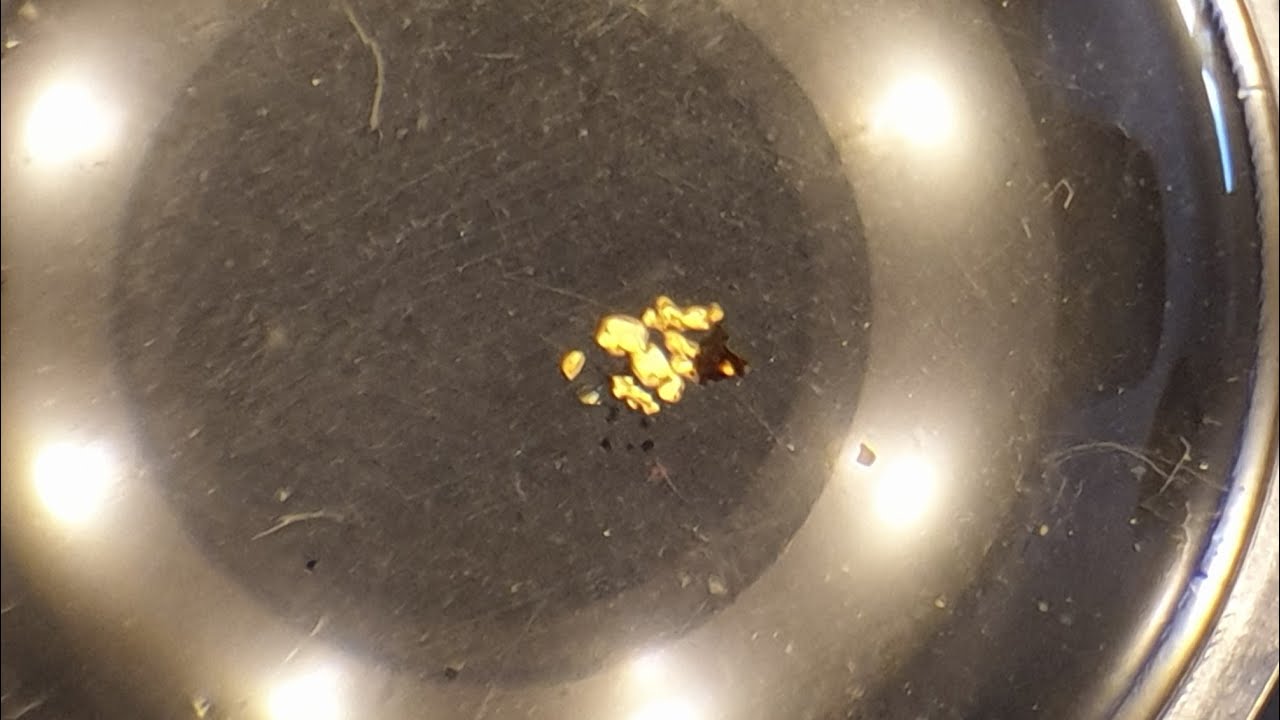 Gold sch&uuml;rfen im Hunsr&uuml;ck - Ein erfolgreicher Waschtag