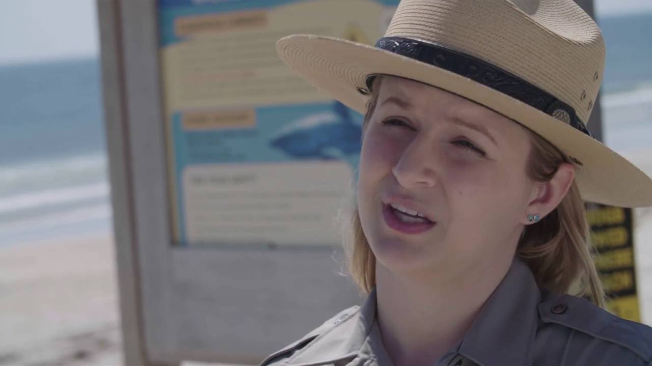 Shark Safety Video