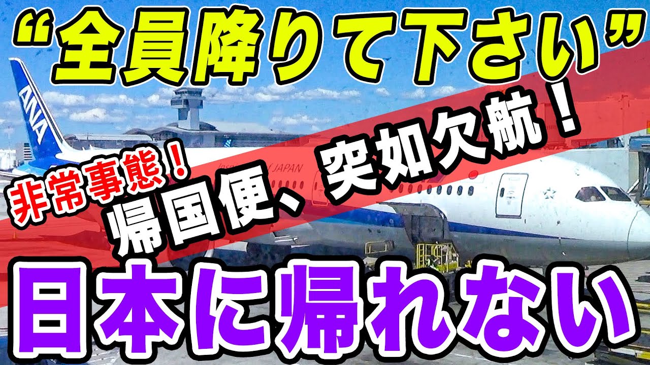 【緊急事態】ANA国際線、いきなり欠航！飛行機壊れてロサンゼルスから帰れない！日本帰国と出勤をかけ、全社会人トラベラー震撼の壮絶バトル、全記録。[ANA海外発券でLAX遠征 #15]